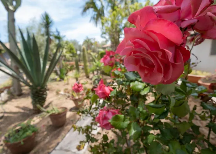 En-suite Quadruple Room-giardino A Mare Guest house